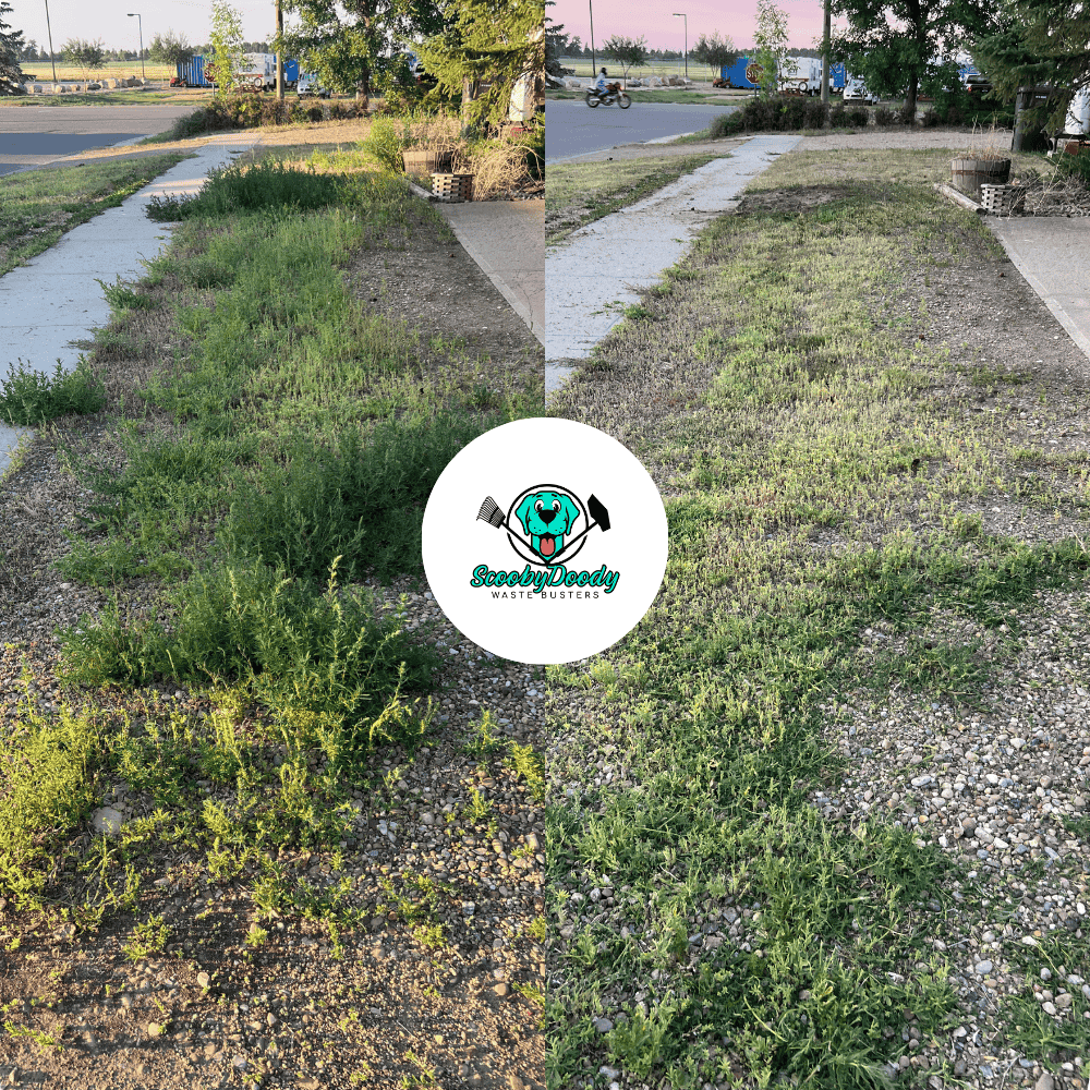 Lawn mowing after Brooks AB