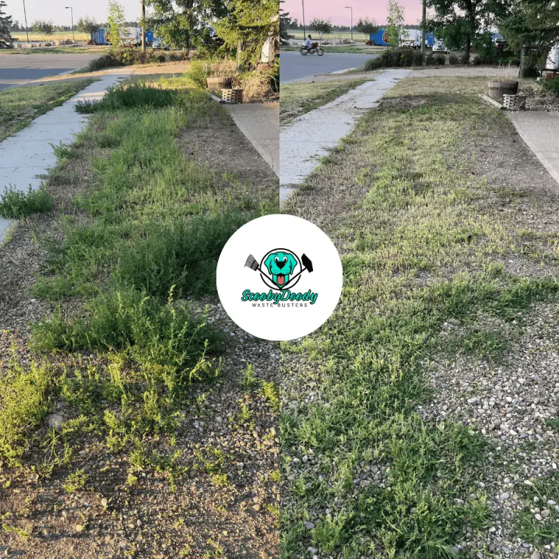 Lawn mowing after Brooks AB