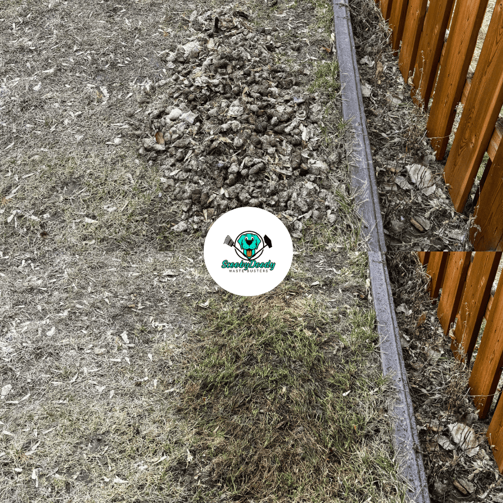 Pet waste cleanup Brooks AB