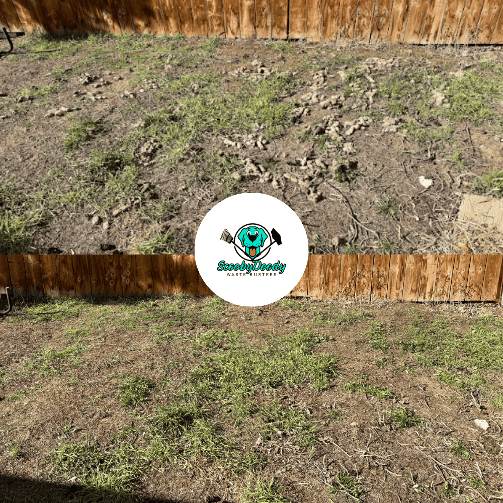 Pet waste cleanup after Brooks AB