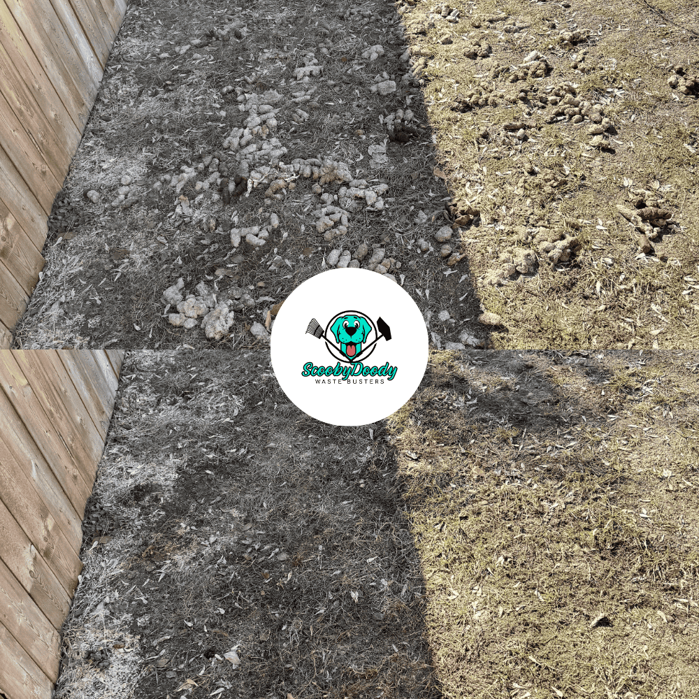 Pet waste cleanup result Brooks AB