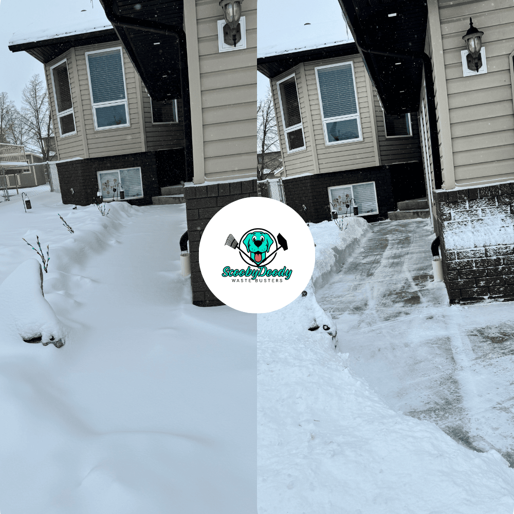 Snow removal driveway Brooks AB