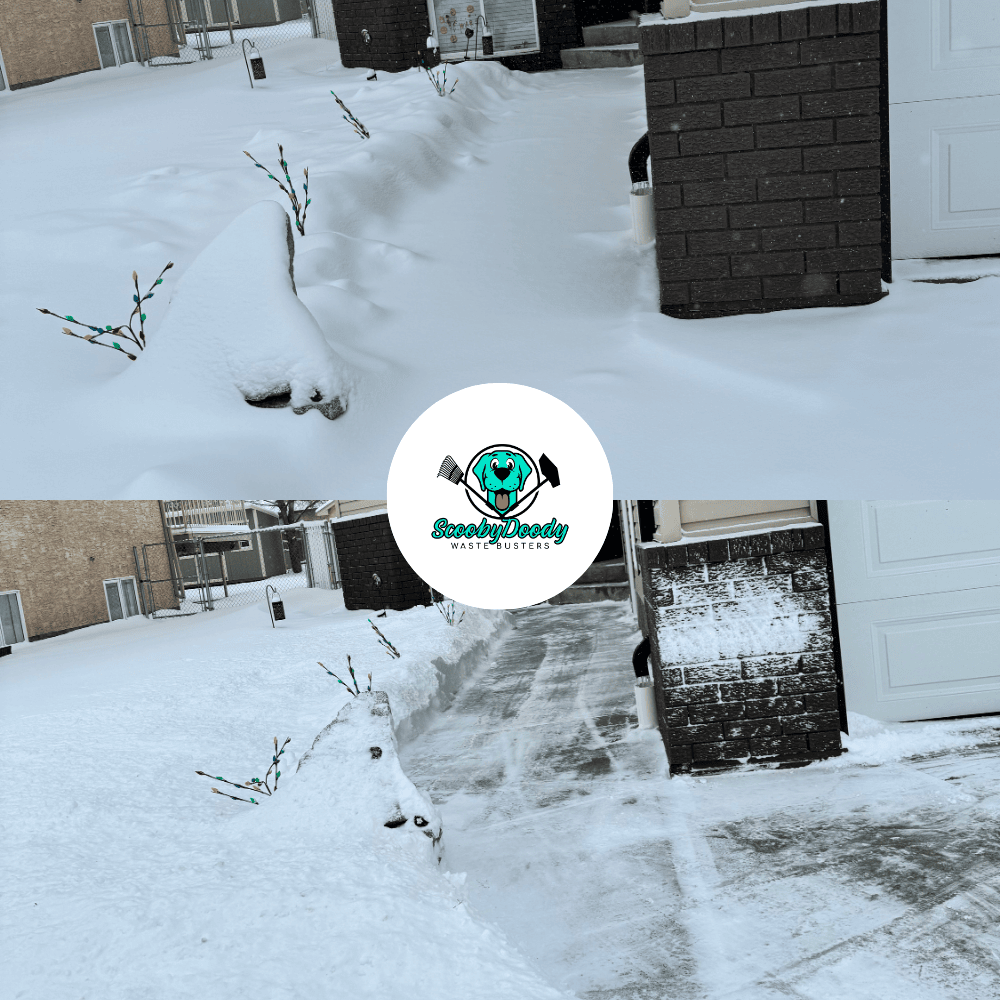 Snow removal full property Brooks AB