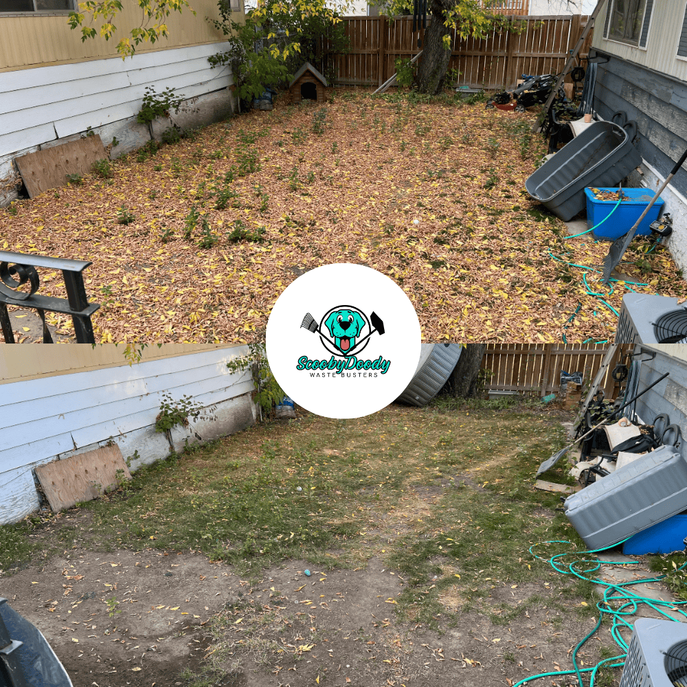 Yard cleanup Brooks AB