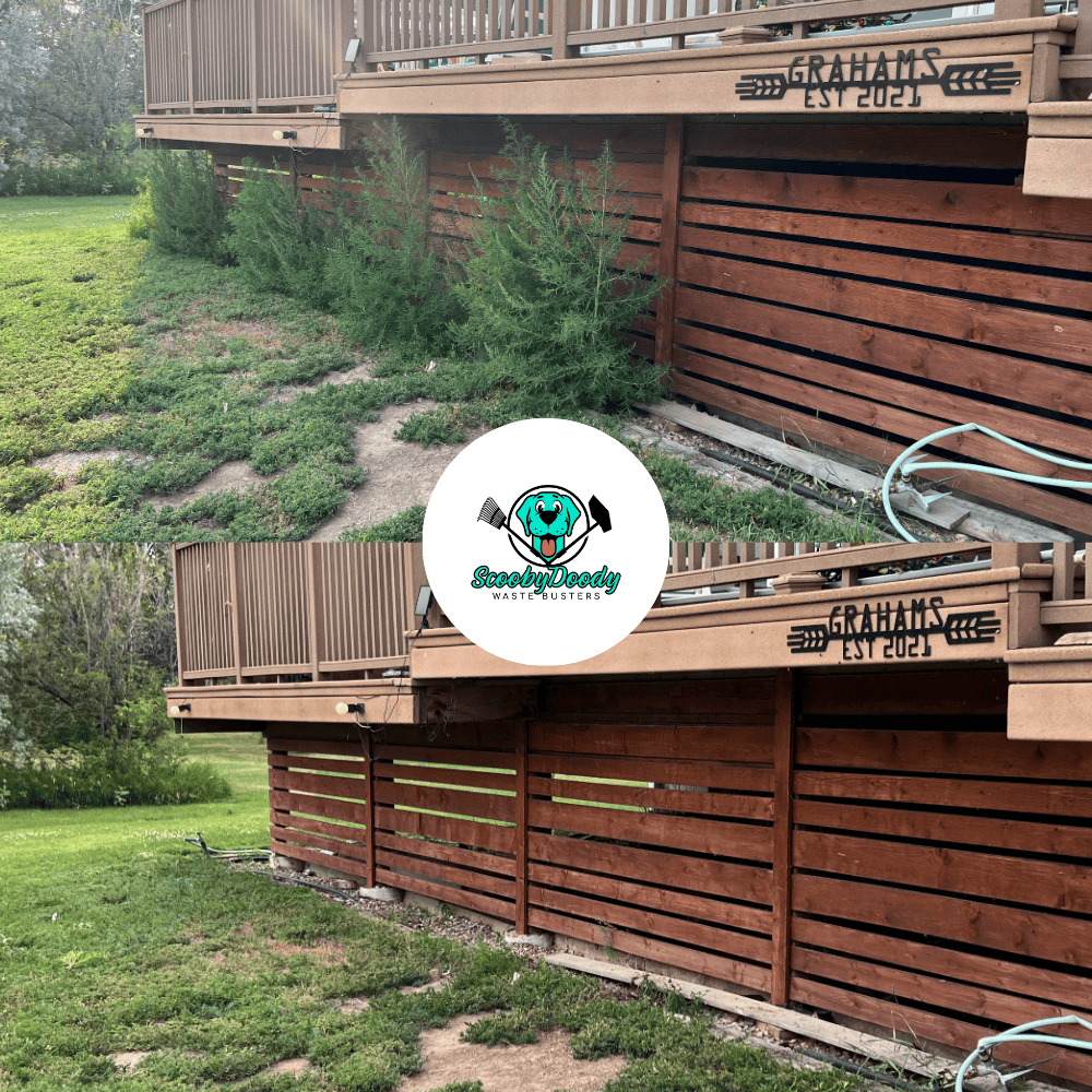 Fall yard cleanup Brooks AB