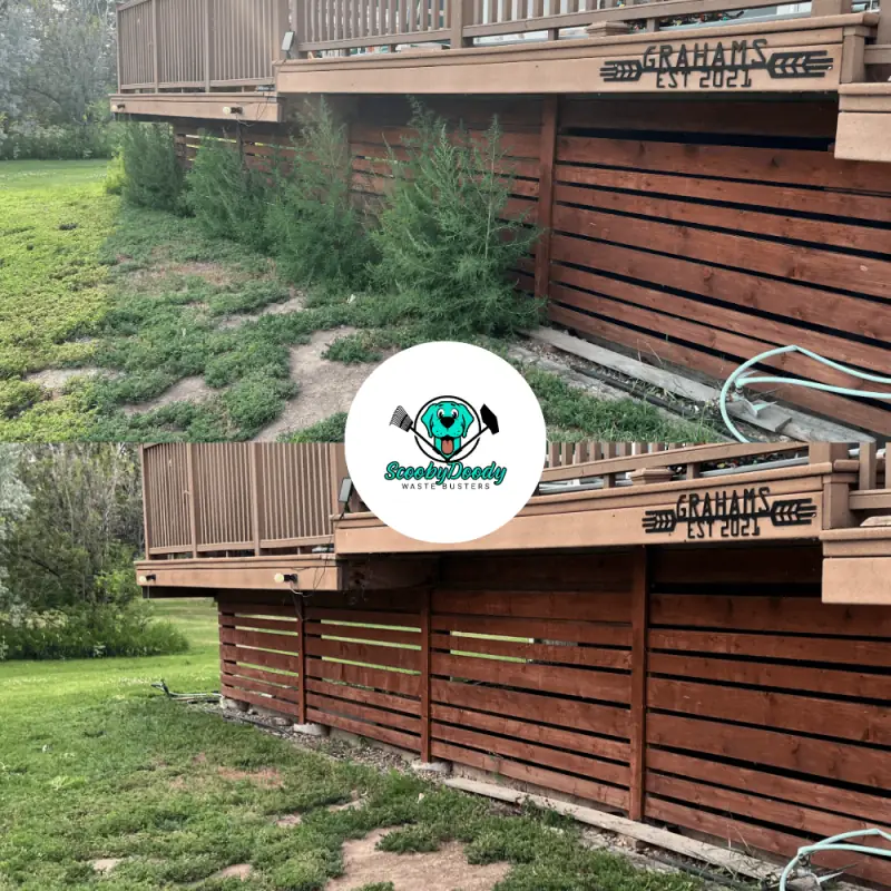 Fall yard cleanup Brooks AB